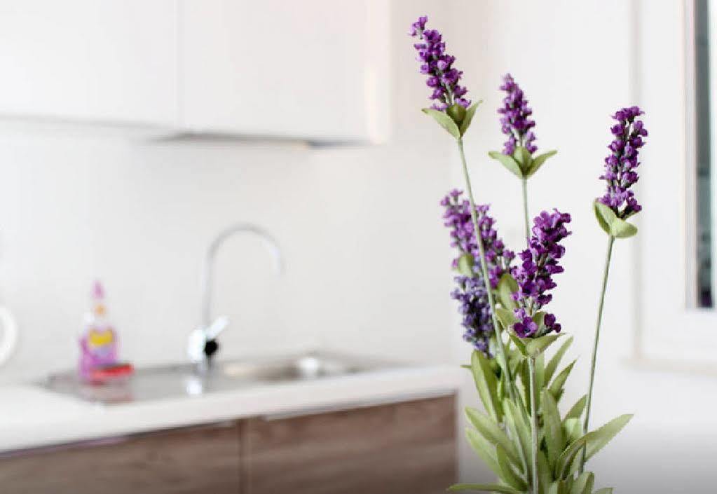 Apartment Lavanda Split Zewnętrze zdjęcie