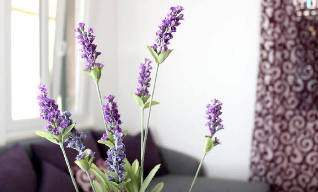 Apartment Lavanda Split Zewnętrze zdjęcie